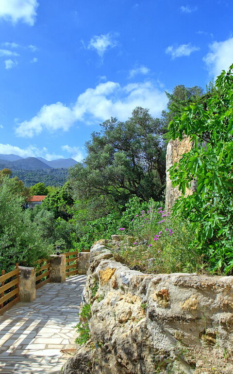 Villa Vicilla: Buitenshuis