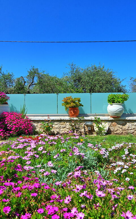 Villa Elaia: Buitenshuis, Tuin