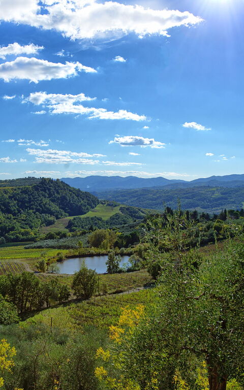 San Guido: Buitenshuis, Keer bekeken