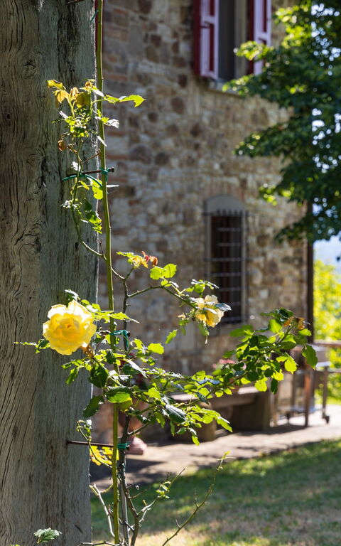 San Guido: Buitenkanten, Buitenshuis, Tuin