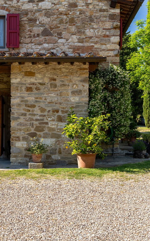 San Guido: Buitenkanten, Buitenshuis, Tuin