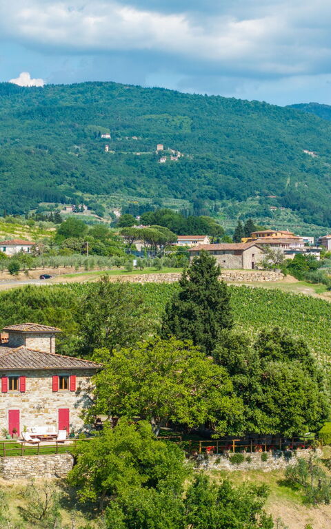 San Guido: Buitenshuis, Keer bekeken