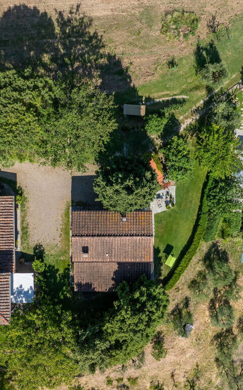 San Guido: Buitenshuis, Keer bekeken