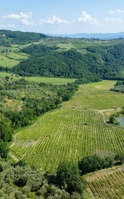 San Guido: Buitenshuis, Keer bekeken