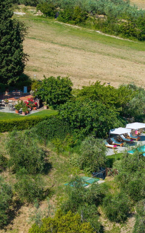 San Guido: Buitenshuis, Keer bekeken