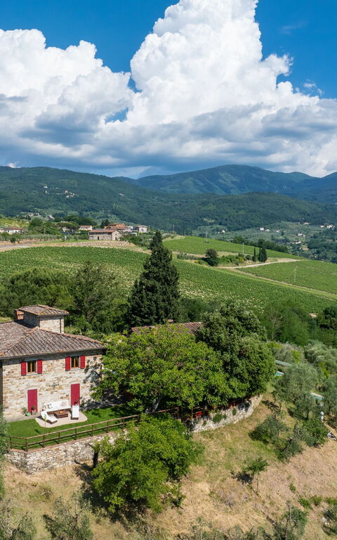 San Guido: Buitenshuis, Keer bekeken