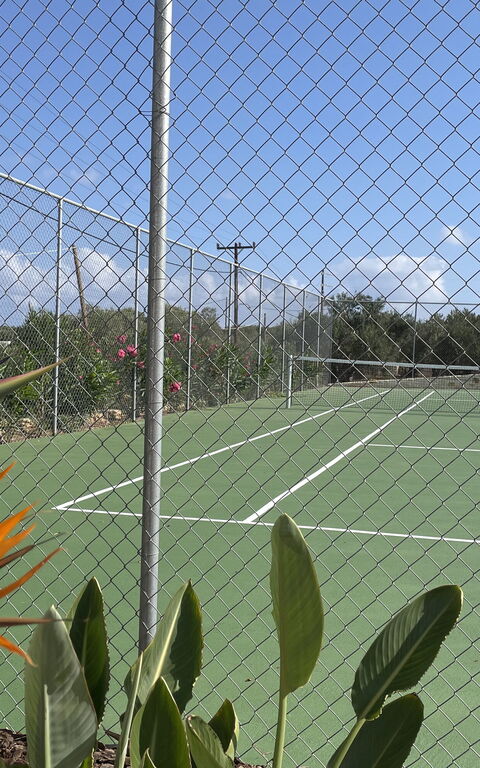 Villa Bluewhite: Activiteiten