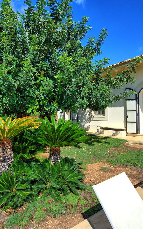 Tenuta Olearum: Buitenshuis, Tuin, Zomer