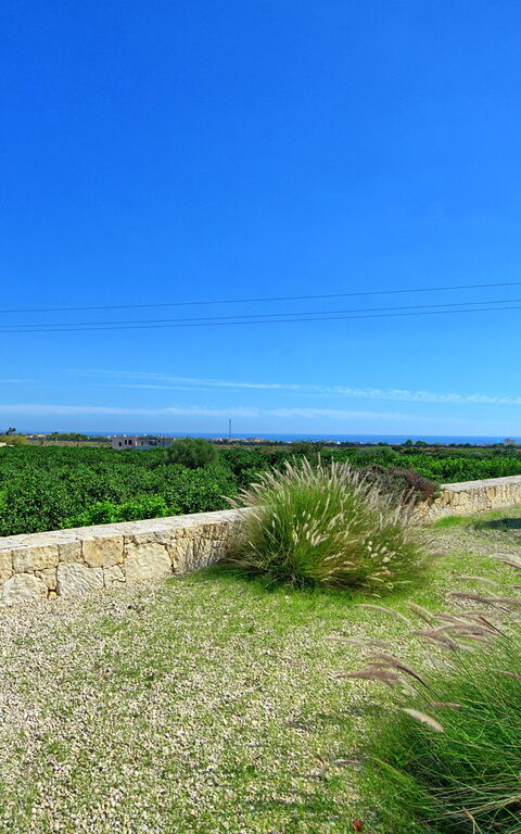 Tenuta Olearum: Buitenshuis, Tuin, Zomer
