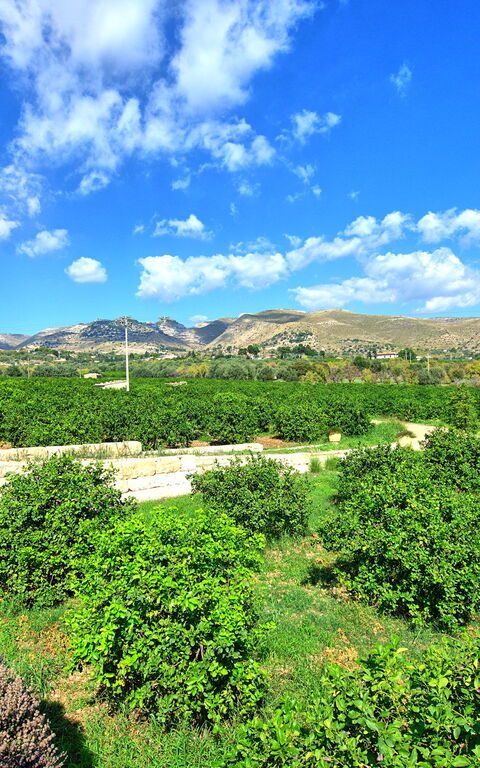 Tenuta Olearum: Buitenshuis, Keer bekeken, Zomer
