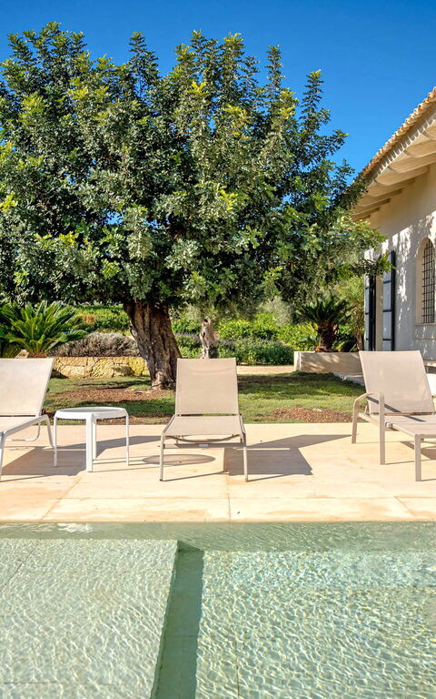 Tenuta Olearum: zwembad