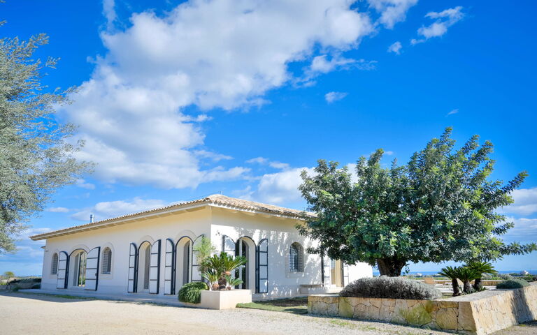 Tenuta Olearum: Tuin