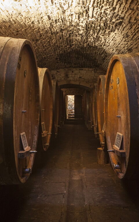 Villa Paneretta: Activiteiten, Voorzieningen