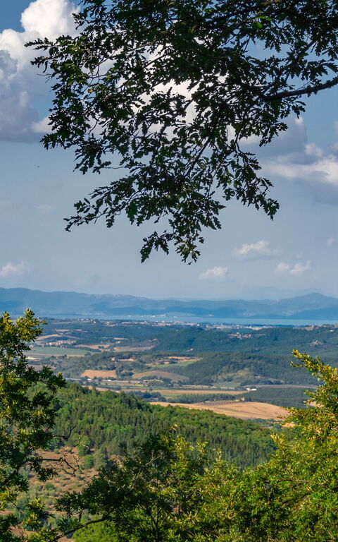 Villa Lucarella: Buitenshuis