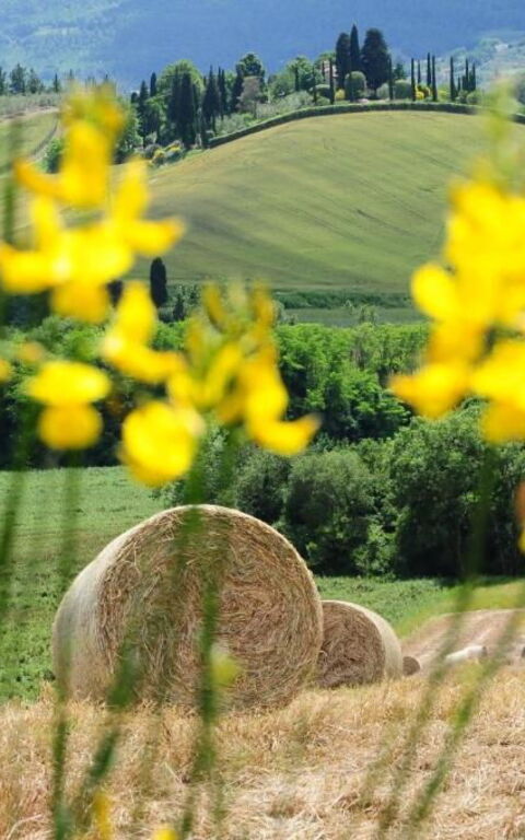 Palazzo Bello: Buitenshuis