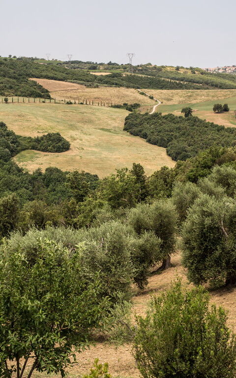 Villa Chiugi: Keer bekeken