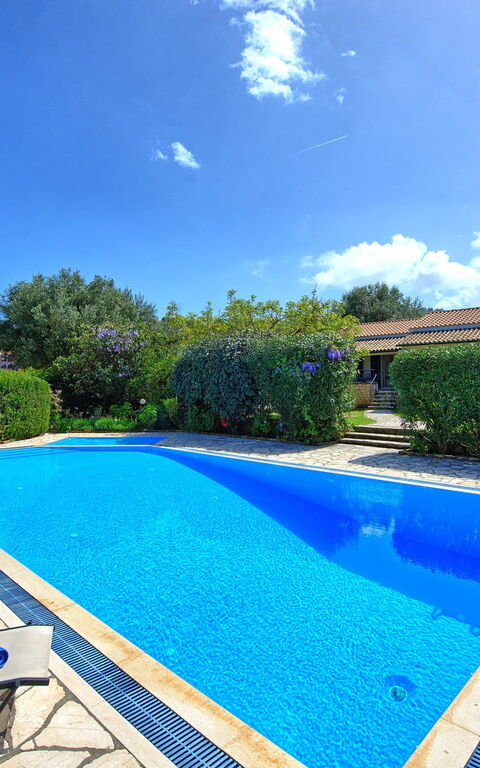 Votana House: zwembad