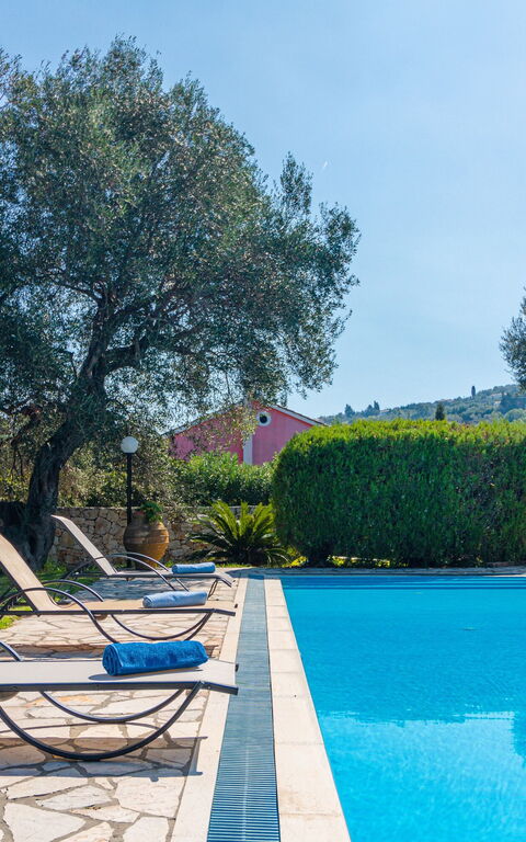 Votana House: Buitenshuis, Tuin, Zomer, zwembad