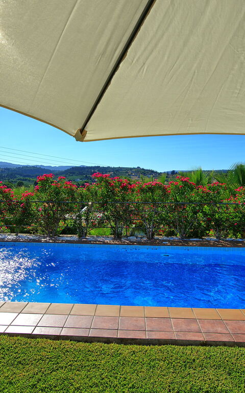 Villa Politini: zwembad