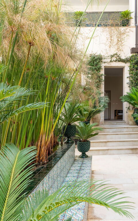 Aurispa: Balkon / terras / patio, Buitenshuis