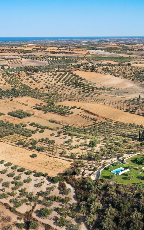 Villa Colleverde: Keer bekeken