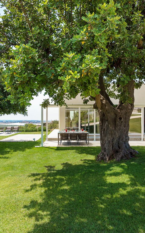 Villa Colleverde: Buitenshuis, Tuin