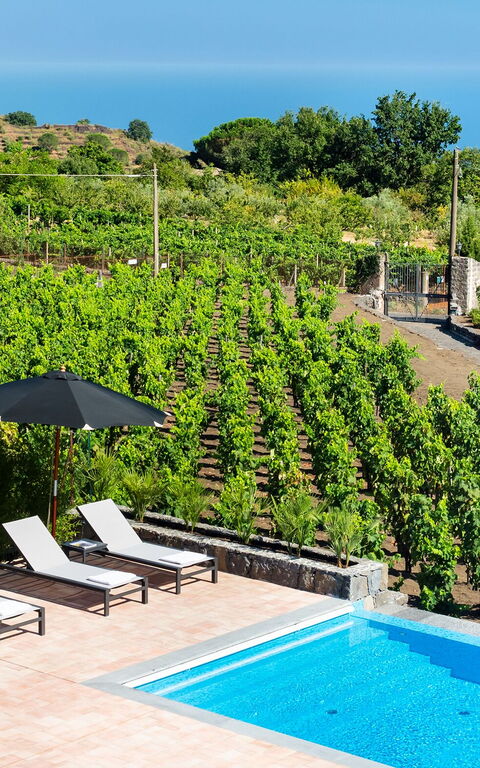 Villa Palmento Rosa: zwembad