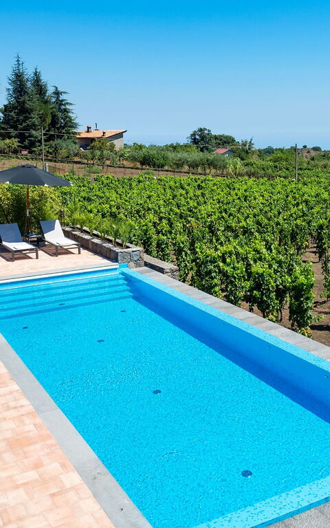 Villa Palmento Rosa: zwembad