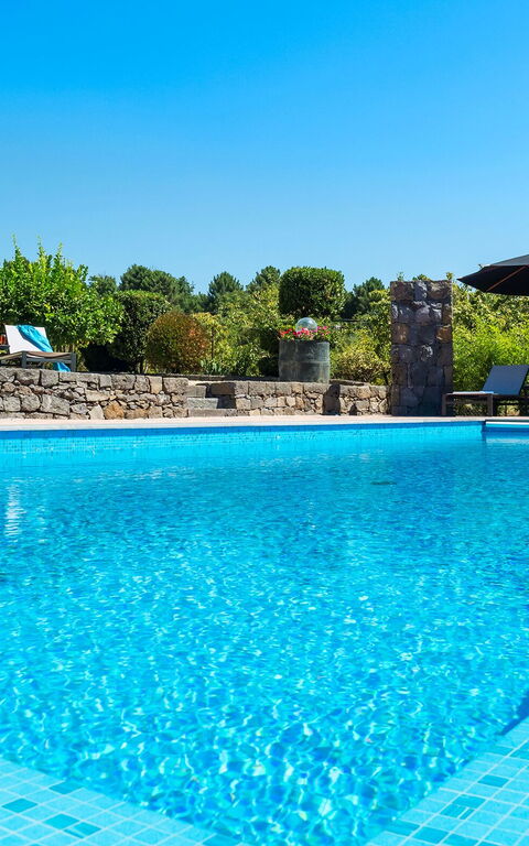 Villa Palmento Rosa: zwembad