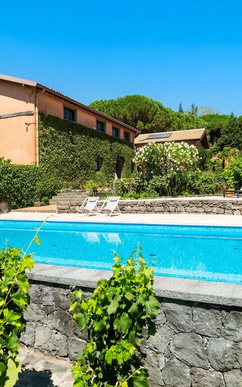 Villa Palmento Rosa: zwembad