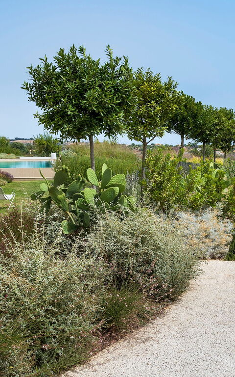 Villa Meravilla: Buitenshuis, Tuin