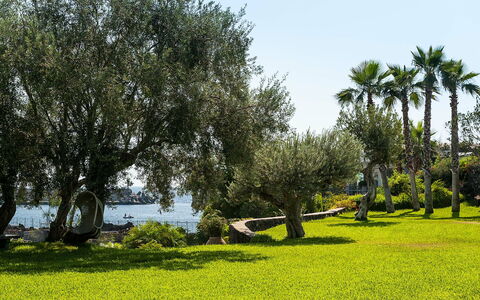 Accommodatie Casetta: Tuin