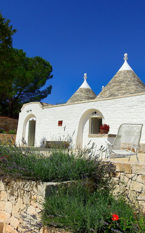 Trullo Oak