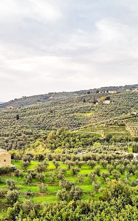 Casa Lionardo: Buitenshuis, Keer bekeken