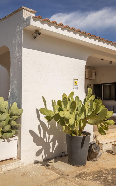 Villa Natura: Balkon / terras / patio, Buitenkanten, Hoofdingang