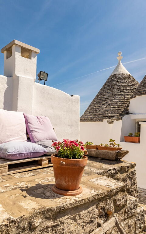 Tenuta Minnea: Buitenkanten, Buitenshuis, Keer bekeken