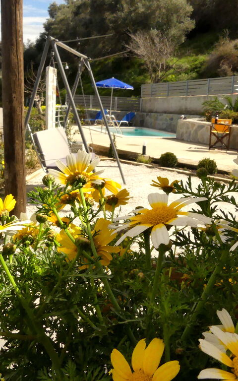 Aretousa: Keer bekeken, Tuin