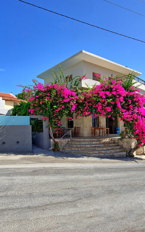 Casa Cafenio: Buitenshuis