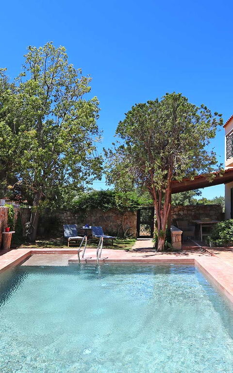 Villa Giani: zwembad