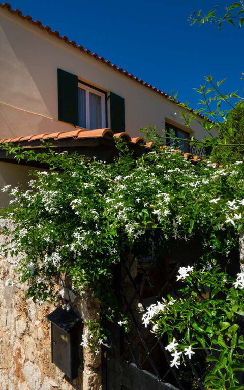 Villa Giani: Buitenkanten, Tuin