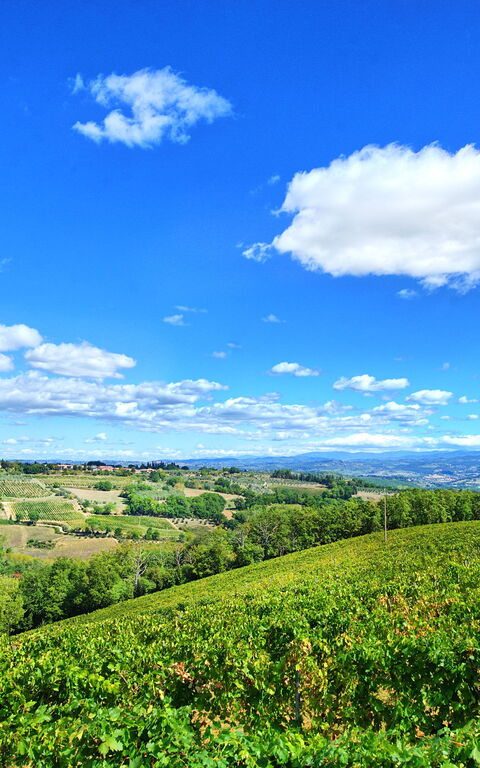 Montauto: Buitenshuis, Keer bekeken