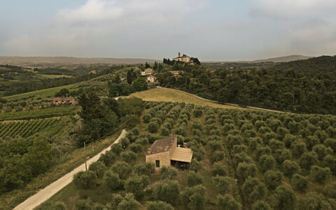 Accommodatie Capanna: Keer bekeken