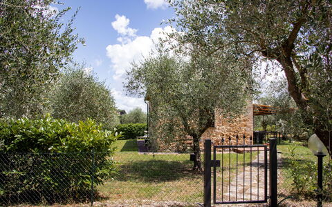 Accommodatie Capanna: Buitenkanten, Tuin