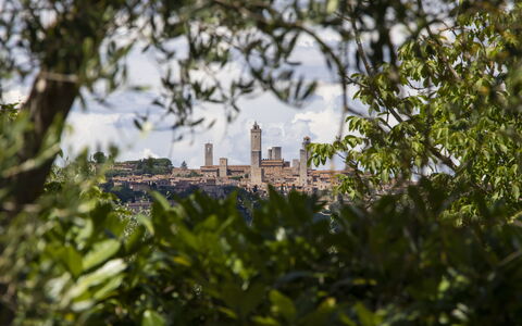 Accommodatie Capanna: Keer bekeken