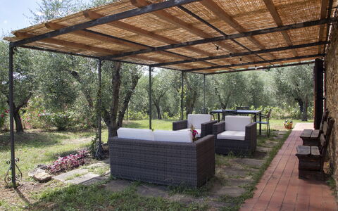 Accommodatie Capanna: Buitenkanten, Tuin