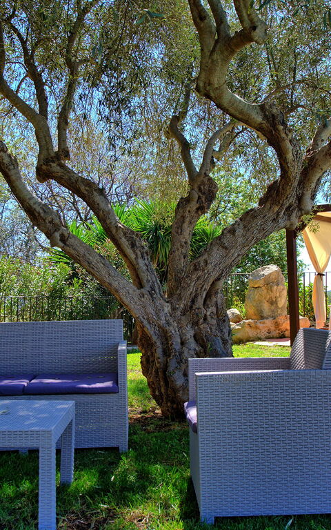 Villa Maddalena: Buitenkanten, Buitenshuis, Tuin