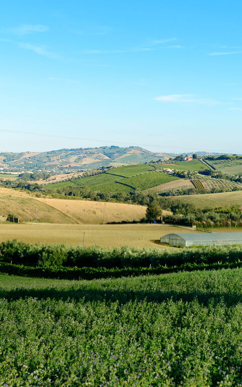Villa Vittoria: Buitenshuis, Keer bekeken