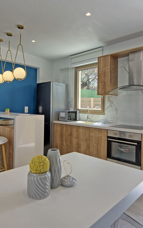 Villa Silentium Ionia: Keuken, Lunchroom