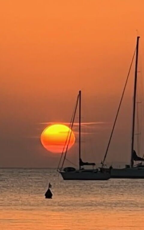 Villa Dolce Vita: Activiteiten, Buitenshuis