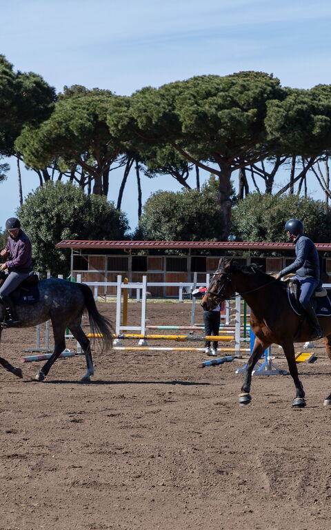 Villa Dolce Vita: Activiteiten, Buitenshuis